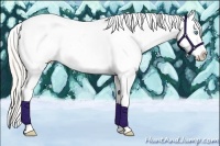 Horse Color:Silver Amber Champagne Roan Pearl Dun Splash Tobiano Appaloosa