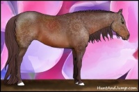 Horse Color:Chocolate Brown 