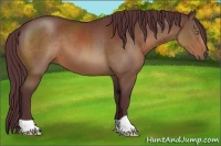 Horse Color:Chocolate Brown 
