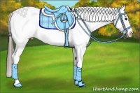 Horse Color:White Spotted Black Blanket 