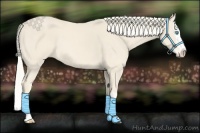 Horse Color:Cremello Splash  and Cremello Splash 