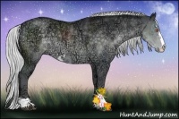 Horse Color:Silver Black Chinchilla Ice Sabino 