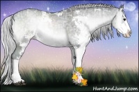 Horse Color:Silver Blue Onyx Chinchilla Ice Sabino