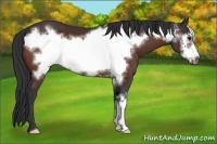 Horse Color:Brown Frame 