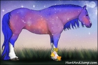 Horse Color:Watercolor Bay 