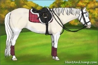 Horse Color:Cremello Splash  and Cremello Splash 