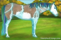 Horse Color:Painted Thunderstruck Bay Dun Splash