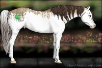 Horse Color:Liver Red Dun Splash  and Liver Red Dun Splash 