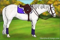 Horse Color:Cremello Splash and Cremello Splash