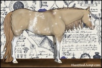 Horse Color:White Spotted Liver Red Dun Sabino Rabicano 
