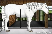 Horse Color:Cremello Splash Appaloosa  and Cremello Splash Appaloosa 