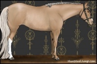 Horse Color:Silver Black Pearl Rabicano