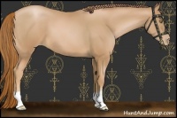 Horse Color:Chestnut Pearl 