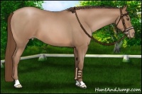Horse Color:Brown Roan Pearl