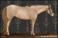 Horse Color:Liver Chestnut Pearl