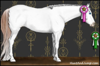 Horse Color:Bay Splash Tobiano Blanket  and Gray Bay Splash Tobiano Blanket 