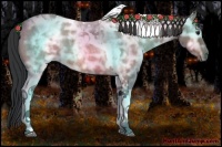 Horse Color:Bay Ice Roan Tobiano