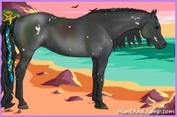 Horse Color:White Spotted Black 