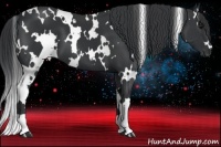 Horse Color:White Spotted Black