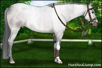 Horse Color:Brown Roan