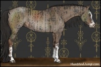 Horse Color:Liver Chestnut Sabino Rabicano and Liver Red Dun Sabino Rabicano