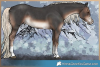 Horse Color:Liver Chestnut Mushroom Sabino Rabicano and Liver Chestnut Mushroom Sabino Rabicano