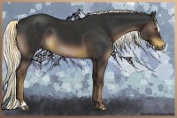 Horse Color:Liver Chestnut Sabino Rabicano and Liver Chestnut Sabino Rabicano