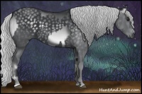 Horse Color:Silver Blue Onyx Chinchilla Sabino and Silver Black Chinchilla Sabino