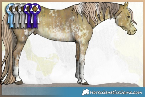 Horse Color:White Spotted Liver Red Dun Mushroom Sabino Rabicano  and White Spotted Chocolate Palomino Dun Mushroom Sabino Rabicano 