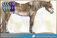 Horse Color:White Spotted Liver Red Dun Mushroom Sabino Rabicano  and White Spotted Chocolate Palomino Dun Mushroom Sabino Rabicano 