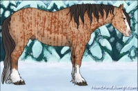 Horse Color:Bay Sabino Splash Rabicano  and Bay Dun Sabino Splash Rabicano 