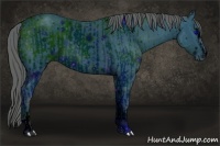 Horse Color:ERROR: UNKNOWN ANOMALY and ERROR: UNKNOWN ANOMALY