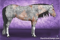 Horse Color:Brown Ice Rabicano  and Blue Ice Roan Splash Rabicano 