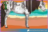 Horse Color:Liver Chestnut Sabino Rabicano  and Liver Chestnut Sabino Rabicano 