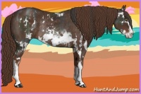 Horse Color:Liver Chestnut Sabino Rabicano  and Liver Chestnut Sabino Rabicano 