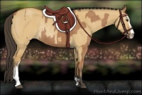 Horse Color:Buckskin Sabino Rabicano and Buckskin Dun Sabino Rabicano
