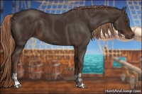 Horse Color:Liver Chestnut  and Liver Chestnut 