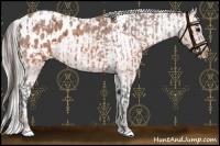 Horse Color:Brown Roan Blanket  and Silver Brown Roan Blanket 