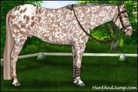Horse Color:Chestnut Snowflake Varnish 