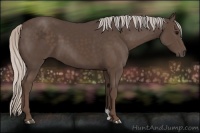 Horse Color:Silver Black 