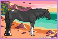 Horse Color:Black Tobiano 