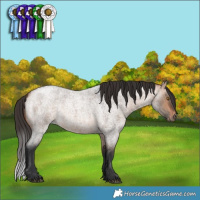 Horse Color:Brown Roan Dun Rabicano 