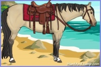 Horse Color:Buckskin Dun 