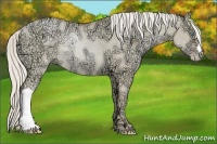 Horse Color:Palomino Ice Pearl Dun Rabicano 