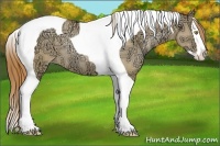 Horse Color:Red Dun Ice Pearl Sabino Splash Tobiano Rabicano 