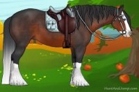 Horse Color:Brown Splash 