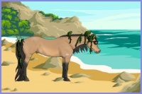 Horse Color:Buckskin 