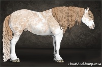 Horse Color:Chestnut Ice Pearl Sabino