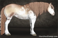 Horse Color:Liver Red Onyx Pearl Sabino