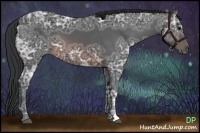 Horse Color:Brown Ice 